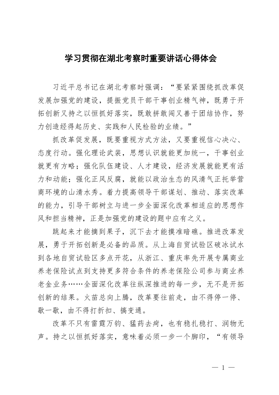 4篇学习贯彻2024年在湖北考察时重要讲话心得体会.docx