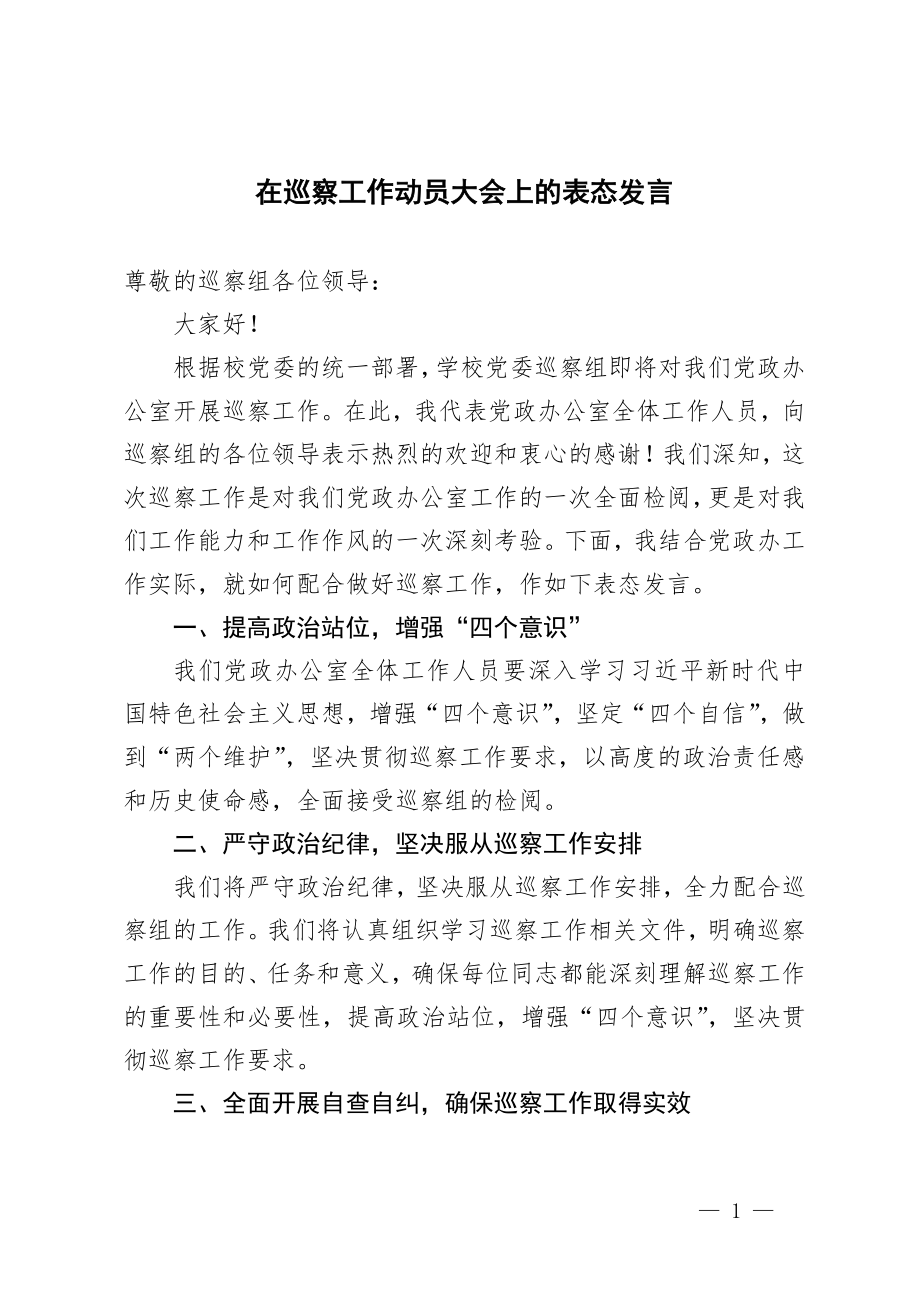 >首页>范文大全>工作总结>2篇2024年在巡察工作动员大会上的表态发言