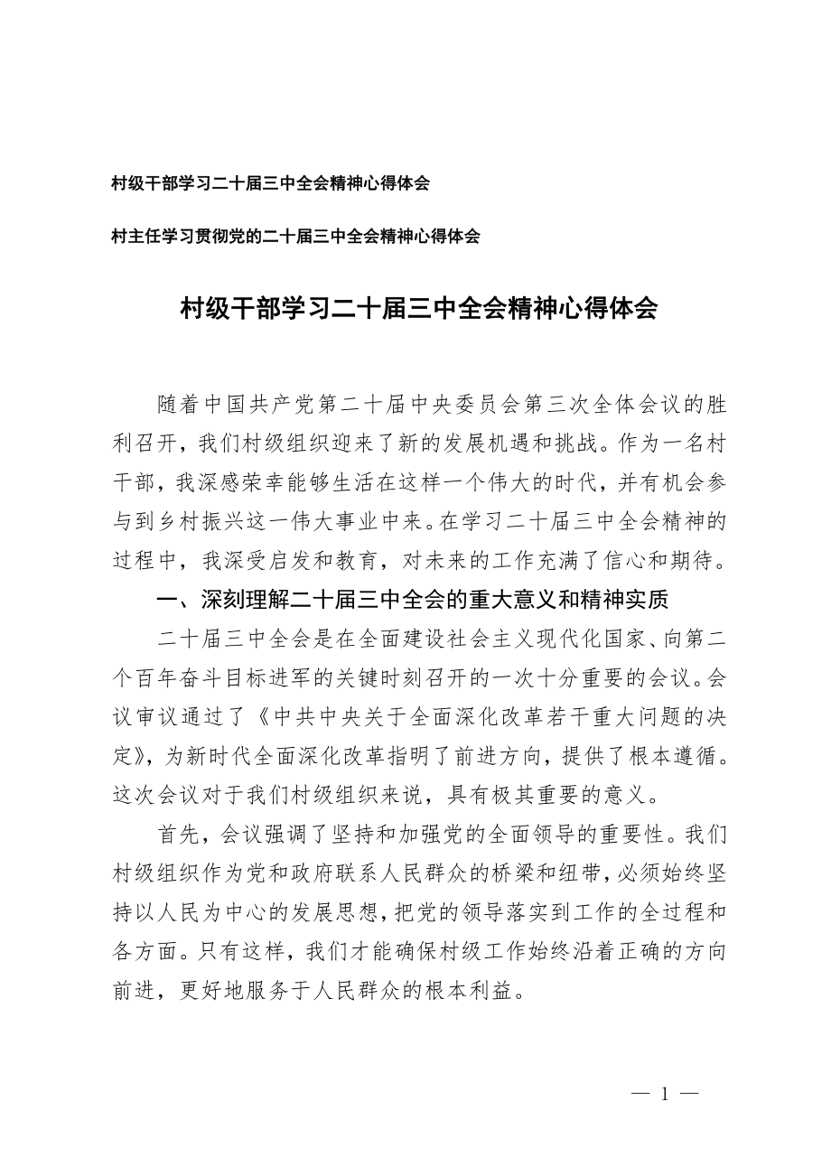 村级干部,村主任学习二十届三中全会精神心得体会.doc